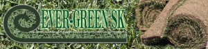 Ever-green_banner